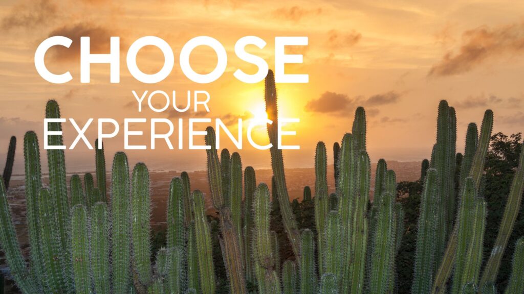 Choose your Experience