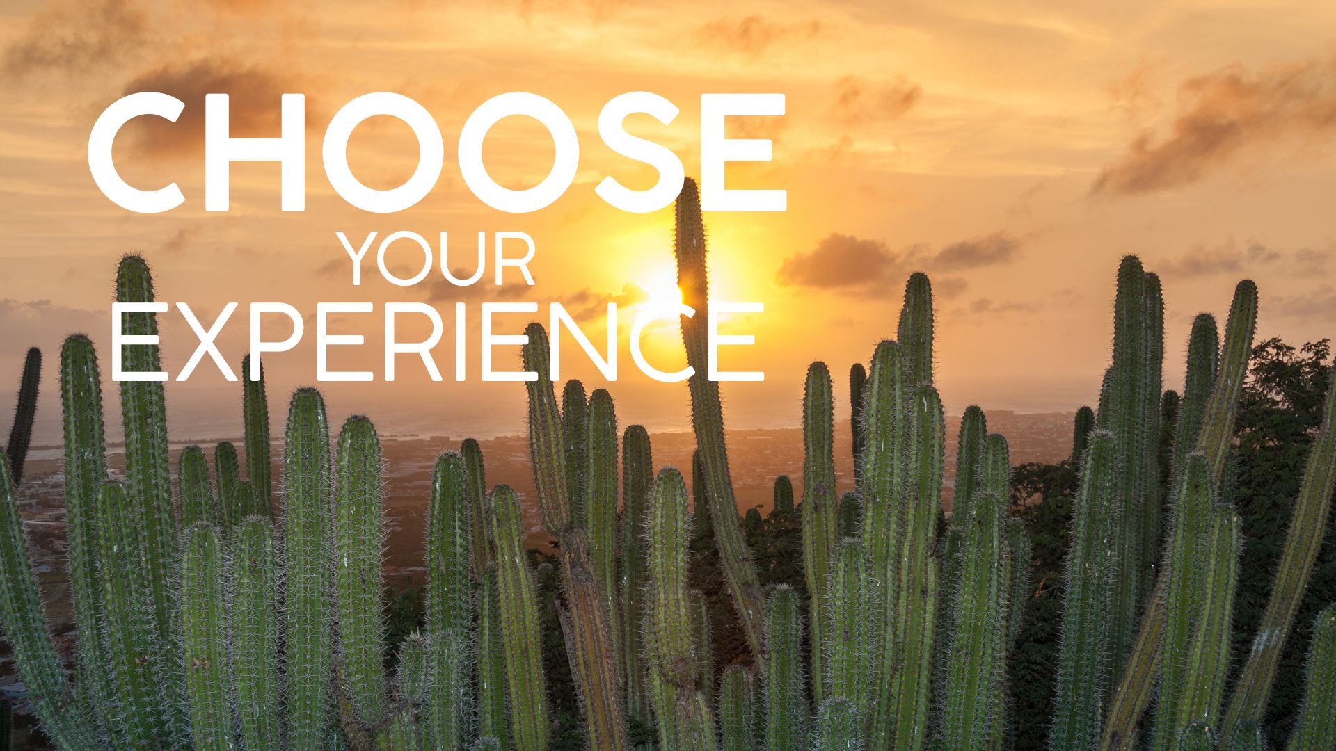 Choose your Experience